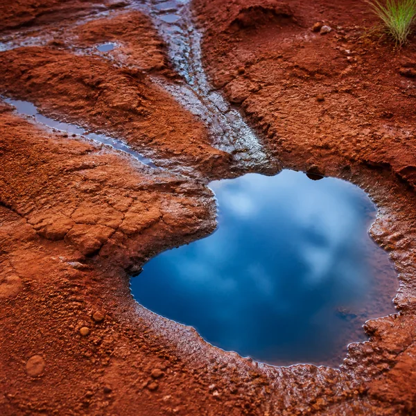 Red Earth Blue Water cover