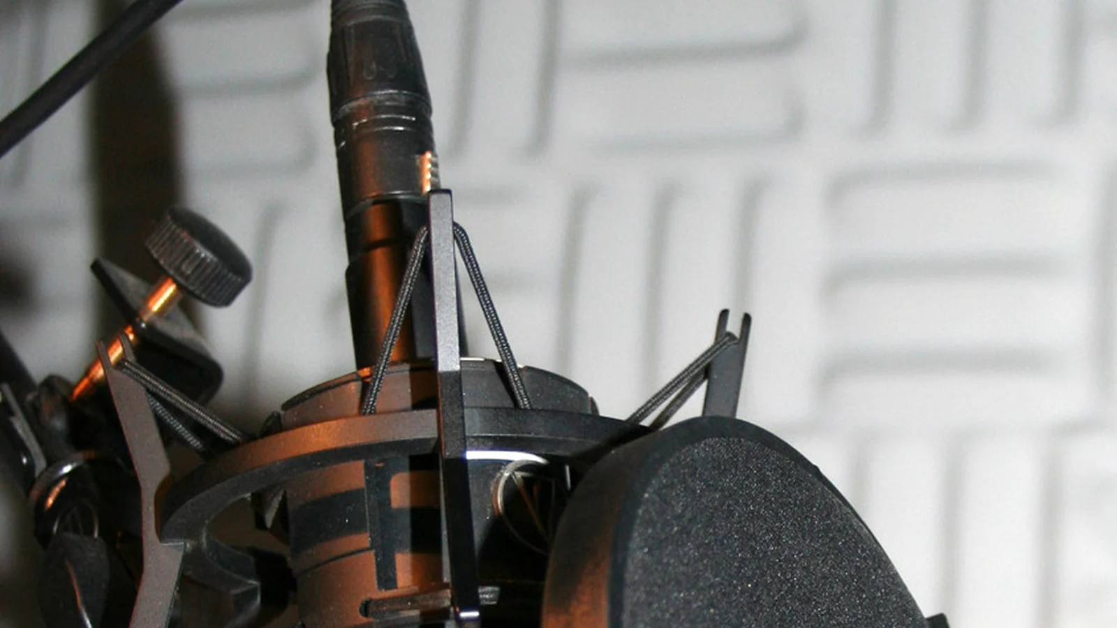 Studio condensor microphone with pop shield