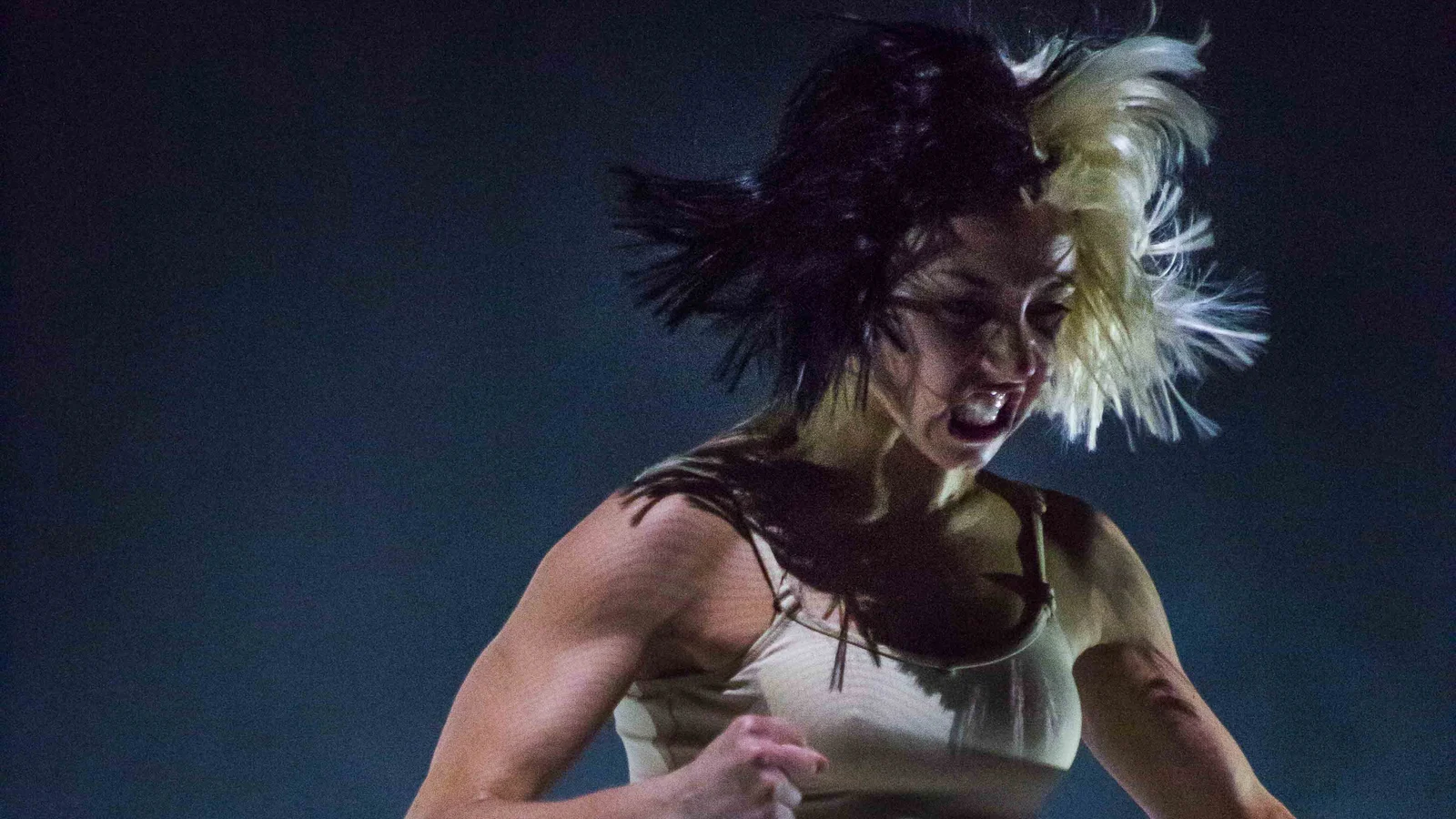 Boston Calling Day One: Sia concert. The dancer is Stephanie Mincone. Photos © 2016 by Scott Murry.