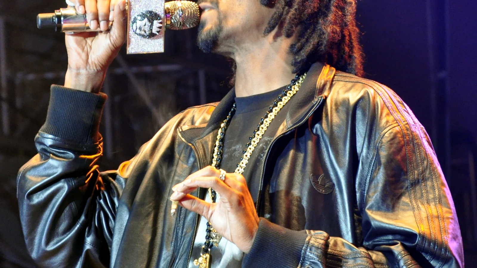 Snoop Lion at red stage on Summerjam Festival 2013