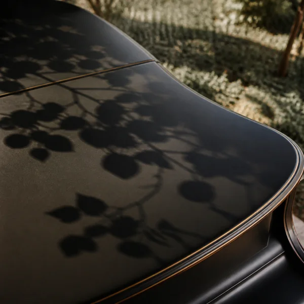 Linden Shadow artwork