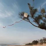 The Paper Kite artwork