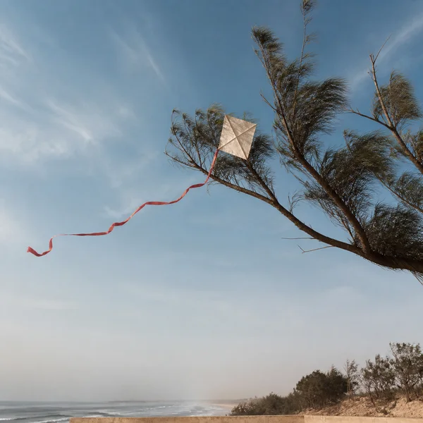 The Paper Kite artwork