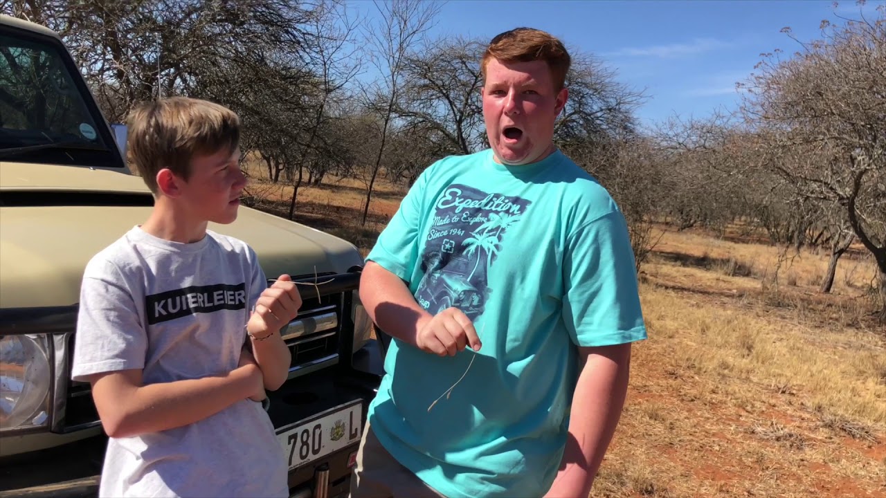 Snotkop Video - Kort broek en plakkies