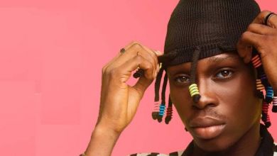 Fireboy DML Biography And Top Songs