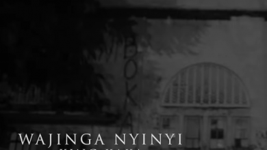 King Kaka – Wajinga Nyinyi