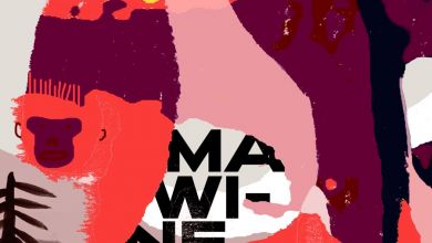 MoBlack - Mawine (feat. Stevo Atambire) - Single