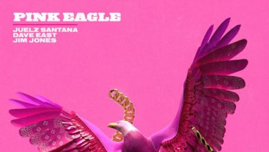 Juelz Santana Features Jim Jones And Dave East On Pink Eagle