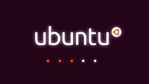 Ubuntu 10.04 Beta 1 Released