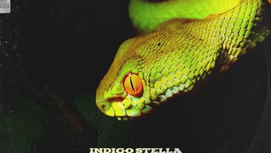 Listen To Indigo Stella’s New Song ‘No Cap’ Feat. LNLYBOY