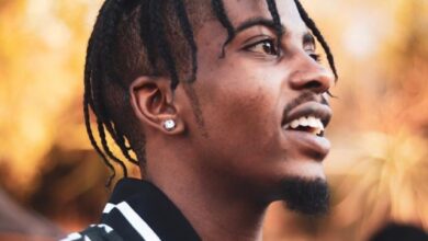 Flvme Songs Top 10 (2020)