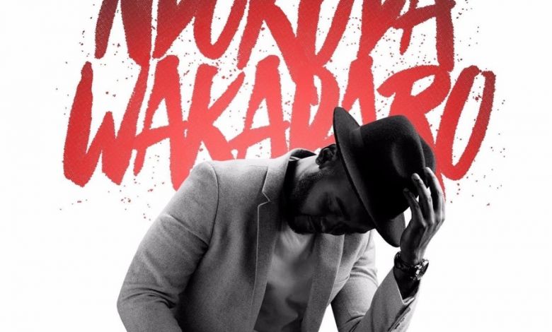 Charlie Kay - Ndokuda Wakadaro (feat. Nox) - Single