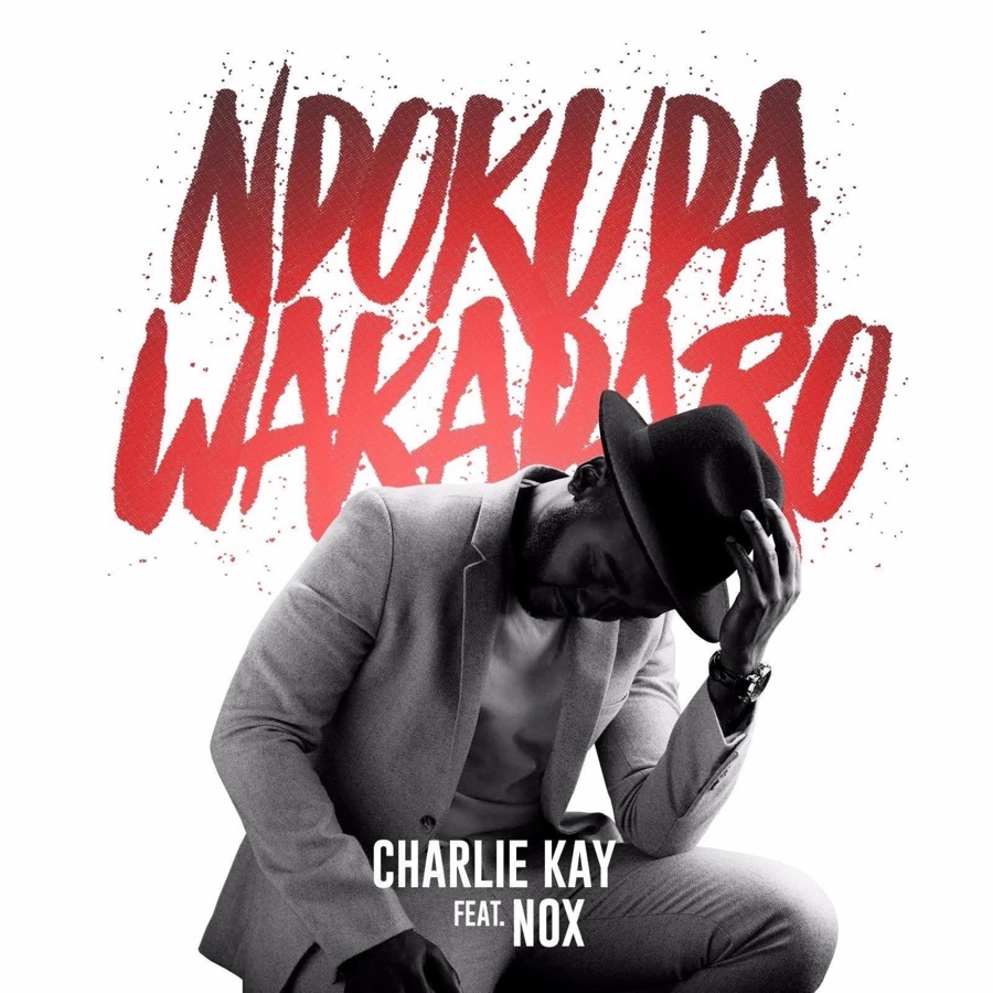 Charlie Kay - Ndokuda Wakadaro (feat. Nox) - Single