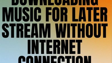 Downloading Music For Later Stream Without Internet Connection