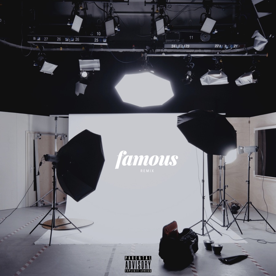 Dibi - Famous (feat. Reason & Sy) [Remix] - Single