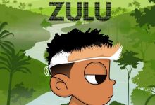Nasty C And DJ Whoo - ZULU Mixtape (Track By Track) Review