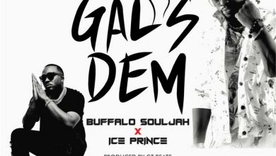 Buffalo Souljah & Iceprince - Gals Dem - Single