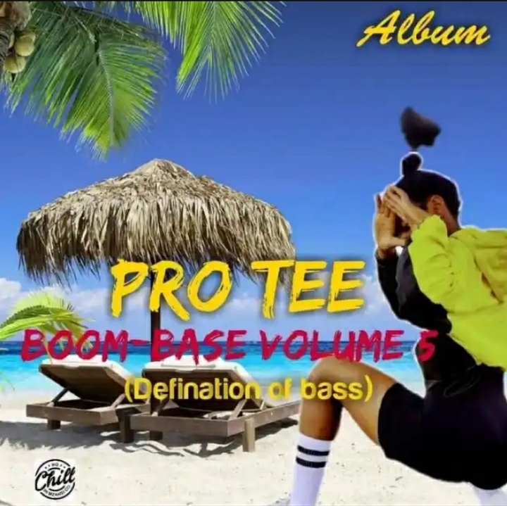 Pro Tee – Boom-Base Volume 5 (Definition Of Bass) Album 1