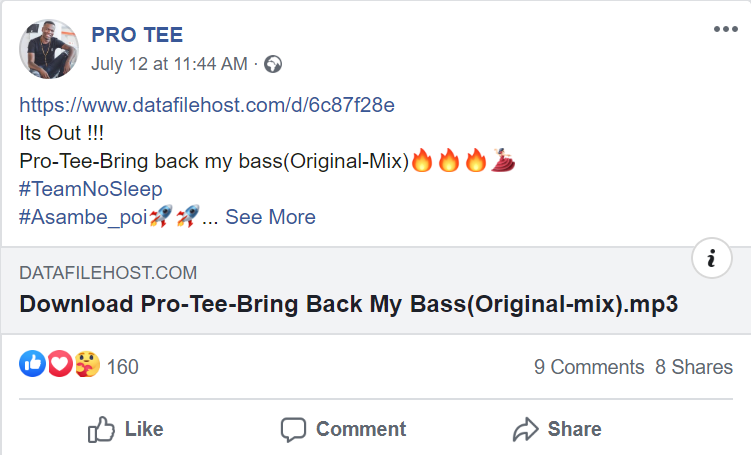 Pro-Tee – Bring Back My Bass 2
