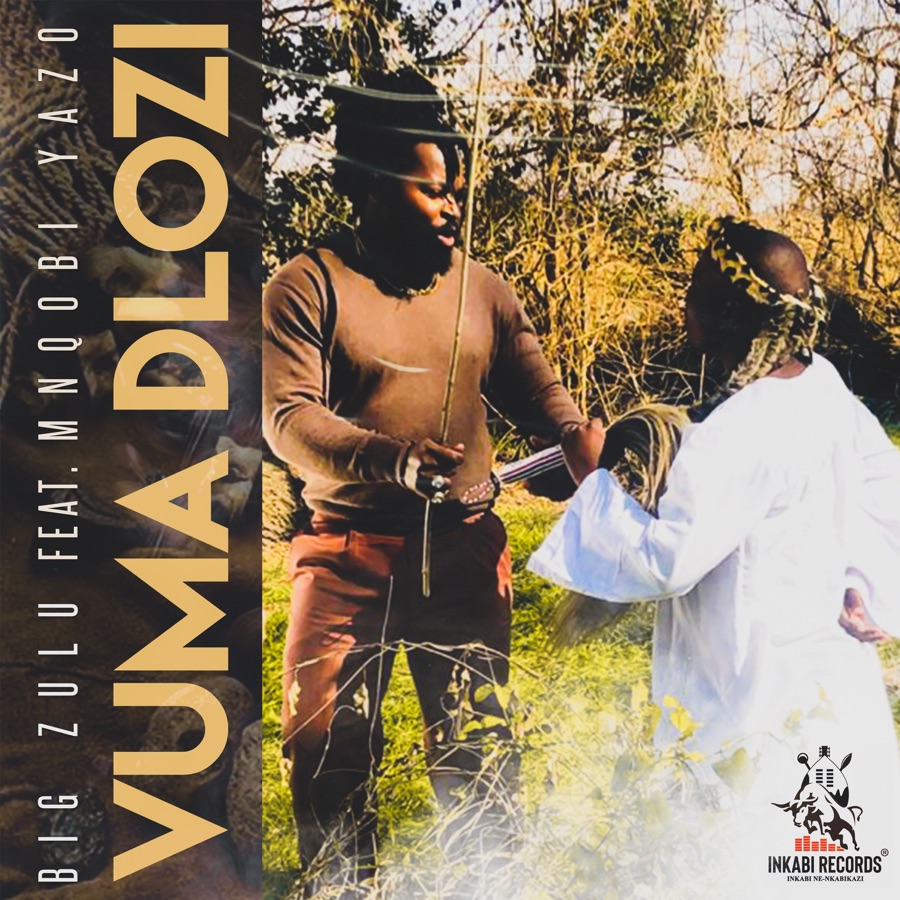 Big Zulu - Vuma Dlozi (feat. Mnqobi Yazo) - Single