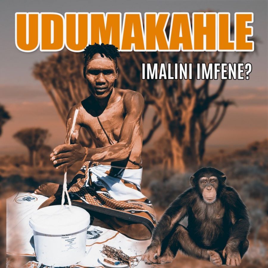 Dumakahle Drops “Imalini Imfene” EP