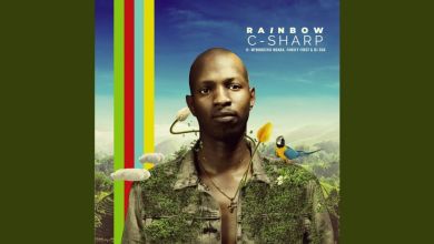 C-Sharp, Mthokozisi Ndaba, Family First, DJ Sox release “Rainbow”