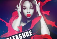 Pleasure - Ngonyama (feat. Zipho Thusi) - Single