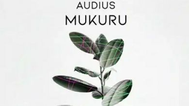 Shona SA & DJ Fresh SA release “Mukuru (Original Mix)” featuring Audius