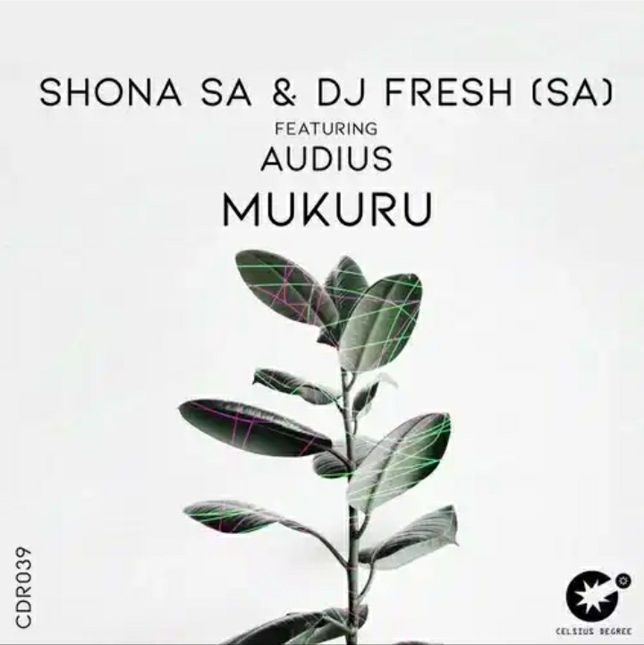 Shona SA & DJ Fresh SA release “Mukuru (Original Mix)” featuring Audius