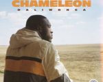 Daliwonga – Chameleon Album