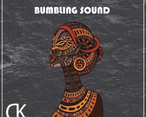 Midnight SA & TorQue MuziQ release “Bumbling Sound”