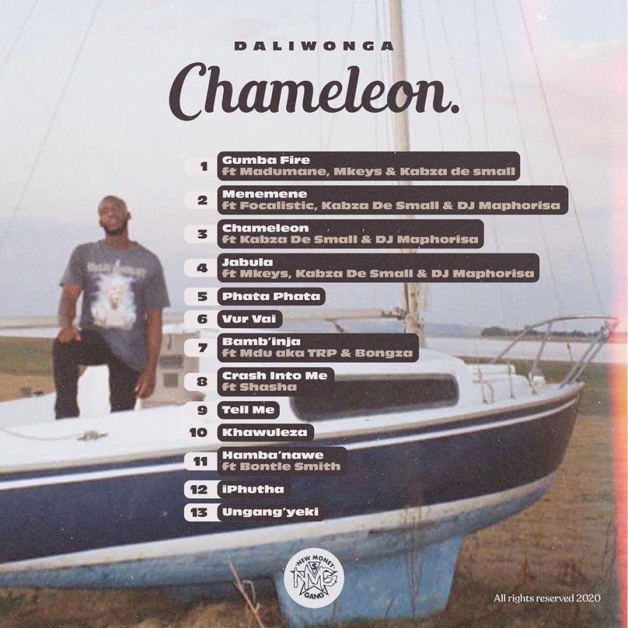 Daliwonga – Chameleon Album Review 4
