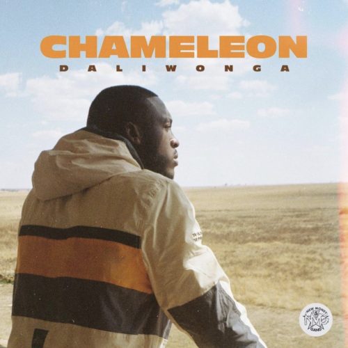 Daliwonga – Chameleon Album Review 2