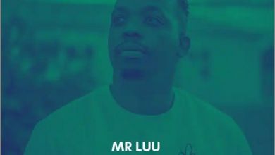 Mr Luu – In the End