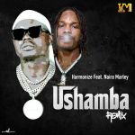 Harmonize – Ushamba (Remix) Ft. Naira Marley