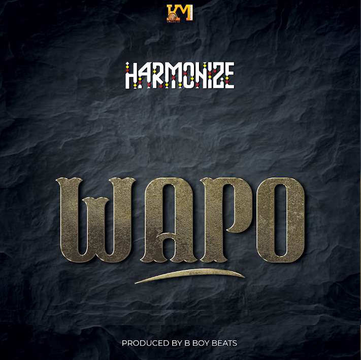 Harmonize - Wapo 1