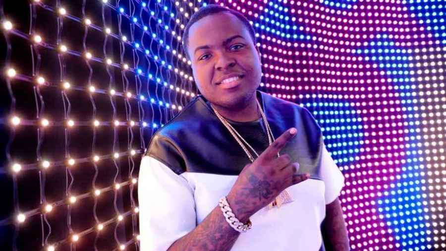 Sean Kingston Faces Grand Theft Charge