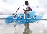Big Zulu – Imali Eningi (Zwile Sax Cover) Ft. Intaba Yase Dubai & Riky Rick