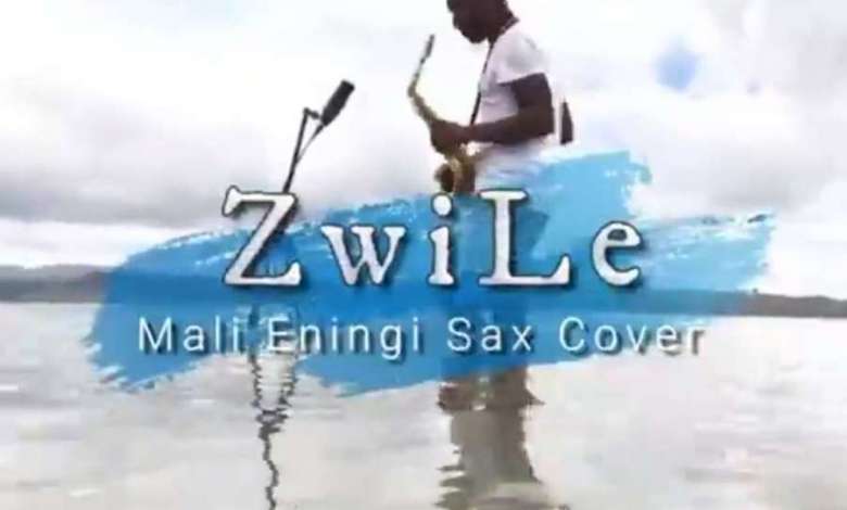 Big Zulu – Imali Eningi (Zwile Sax Cover) Ft. Intaba Yase Dubai & Riky Rick