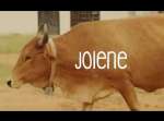 Ndlovu Youth Choir – Jolene