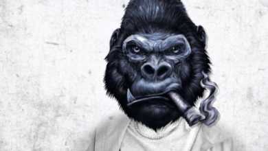 ACHIM Presents King Kong EP