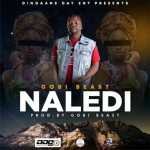 Gobi Beast – Naledi