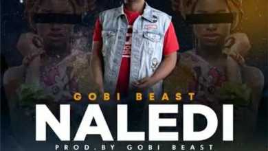 Gobi Beast – Naledi 13
