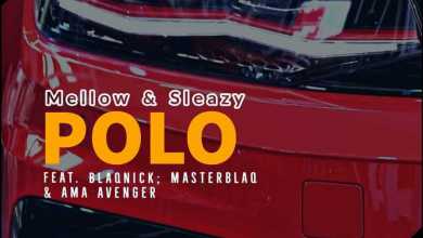 Mellow &Amp; Sleazy - Polo (Feat. Blaqnick, Masterblaq &Amp; Ama Avenger) 11