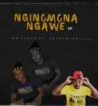 Mr Lenzo – Nginomona Ngawe Ft. Trademark