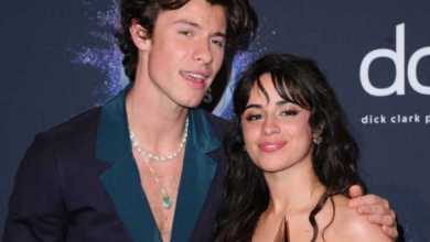 Shawn Mendes Losses SUV To Robbers While He Was Home With Camila Cabello