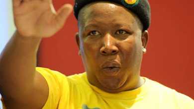 Nota Baloyi Bashes Julius Malema And Calls Him An Unfit Leader 9