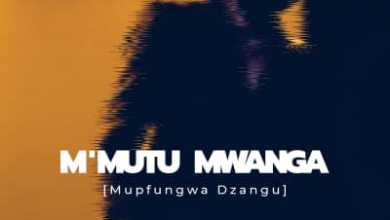 Namadingo – Mupfungwa Dzangu