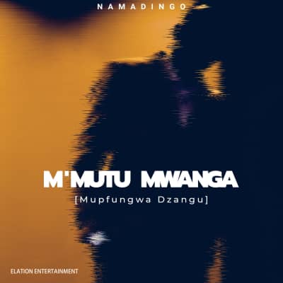 Namadingo – Mupfungwa Dzangu
