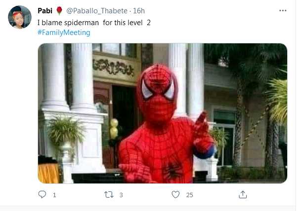 Level 2 Lockdown: South Africans Blame Spiderman For Restriction Woes 4